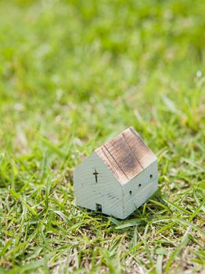 国内最大級のジップライン施工実績もある