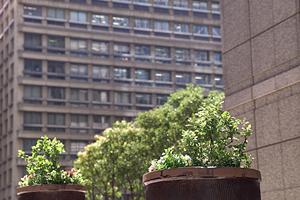 埼玉の地盤沈下、液状化について