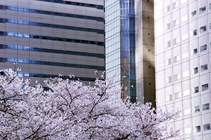 マンション管理を東京都で代行してもらう