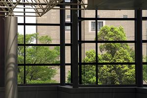 ミニログハウスをお考えの方はこちらがお勧めです