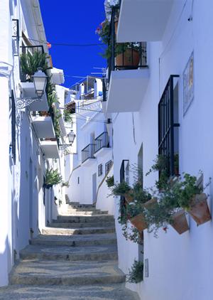 橿原市で不動産を探すならお勧めの業者